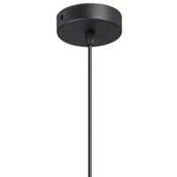 Подвесная люстра Vitaluce V2948-1/1S