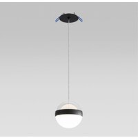 Подвесная люстра Odeon Light Roni 5075/12L