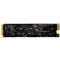 SSD Tech 256GB M.2 NVMe