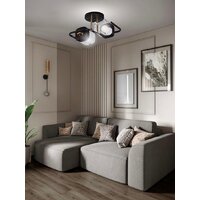 Припотолочная люстра Aitin Pro НПБ 02-2x60-101 8458/2 (черный/медь)