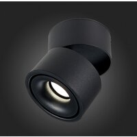 Припотолочная люстра ST Luce ST652 ST652.432.12