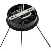 Подвесная люстра Lumion Torina 8340/6