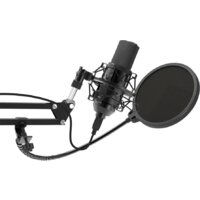 Проводной микрофон Ritmix RDM-169