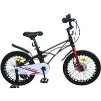 Детский велосипед Favorit Super Sport SSP-14BK (черный)