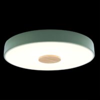 Светильник-тарелка LOFT IT Axel 10003/24 Green