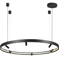 Подвесная люстра Odeon Light Fonda 4317/93L
