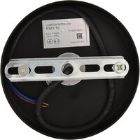 Подвесная люстра Lumion Armina 8321/1C