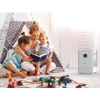Мойка воздуха Boneco Air-O-Swiss W300