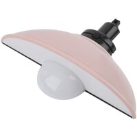 Ночник ЭРА NLED-487-1W-SW-P