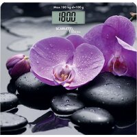 Напольные весы Scarlett SC-BS33E067