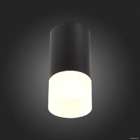 Припотолочная люстра ST Luce ST100.412.01
