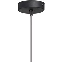 Подвесная люстра Vitaluce V2956-1/2S