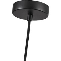 Подвесная люстра Favourite Plat 4460-1P