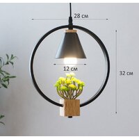 Подвесная люстра Home Light Астерия A042-2-В