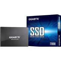 SSD Gigabyte 256GB GP-GSTFS31256GTND