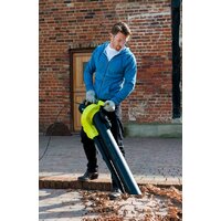 Садовая воздуходувка Ryobi RBV3000CESV