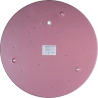 Светильник-тарелка LOFT IT Axel 10003/24 Pink