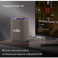 Умная колонка Яндекс Станция Макс (с хабом умного дома Zigbee, бежевый)