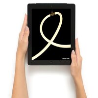 Подвесная люстра Arte Lamp Klimt A2850SP-80PB