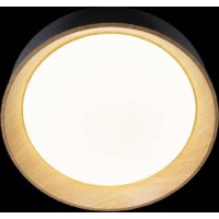 Припотолочная люстра LOFT IT Coin 10202 White