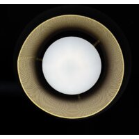 Припотолочная люстра ImperiumLoft Casing01 189559-26
