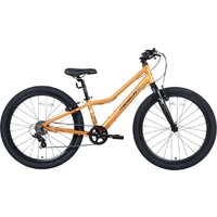 Велосипед Maxiscoo 5Bike 24 2026 MSC-M5-2423 (оранжевый матовый)