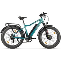 Электровелосипед Eltreco BigCat Dual Next (бирюзовый)