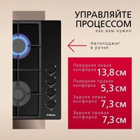 Варочная панель Hansa BHKS661830