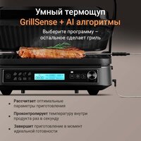 Электрогриль Redmond (Редмонд) SteakMaster GM306