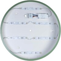 Светильник-тарелка LOFT IT Axel 10002/24 Green