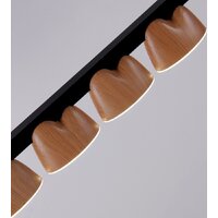 Подвесная люстра Favourite Interline 4266-10P