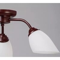 Припотолочная люстра Vitaluce V3252/3PL