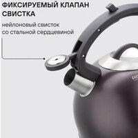 Чайник со свистком Rondell Tierno RDS‑1900