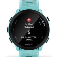 Умные часы Garmin Forerunner 55 (бирюзовый)