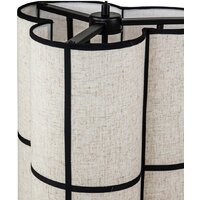 Подвесная люстра Indigo Light Triade V000350
