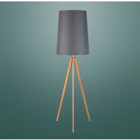 Торшер TK Lighting Walz 5046