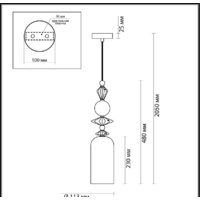 Подвесная люстра Odeon Light Bizet 4855/1