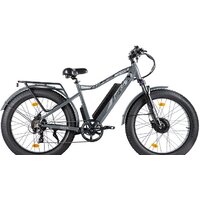 Электровелосипед Volteco BigCat Dual Next (серый)