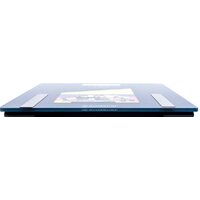 Напольные весы Endever Aurora 550