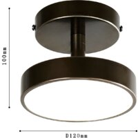 Припотолочная люстра Favourite 3060-1P