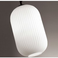 Подвесная люстра Odeon Light Roofi 4751/1