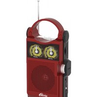 Радиоприемник Ritmix RPR-303
