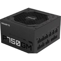 Блок питания Gigabyte P750GM