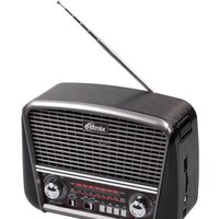 Радиоприемник Ritmix RPR-065