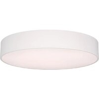 Светодиодная панель Arlight SP-TOR-PILL-PRISM-R600-50W Warm3000 (WH, 100 deg, 230V) 022131(3)