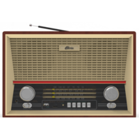 Радиоприемник Ritmix RPR-102 (бук)