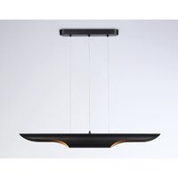 Подвесная люстра Ambrella light Techno Spot TN5157/2 BK (черный)