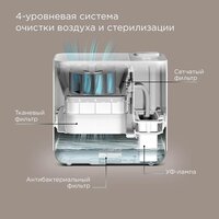 Увлажнитель воздуха Redmond (Редмонд) AP2206S
