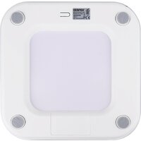 Напольные весы CENTEK CT-2442 (белый)
