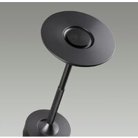 Настольная лампа Odeon Light Tet-A-Tet 5034/6TL